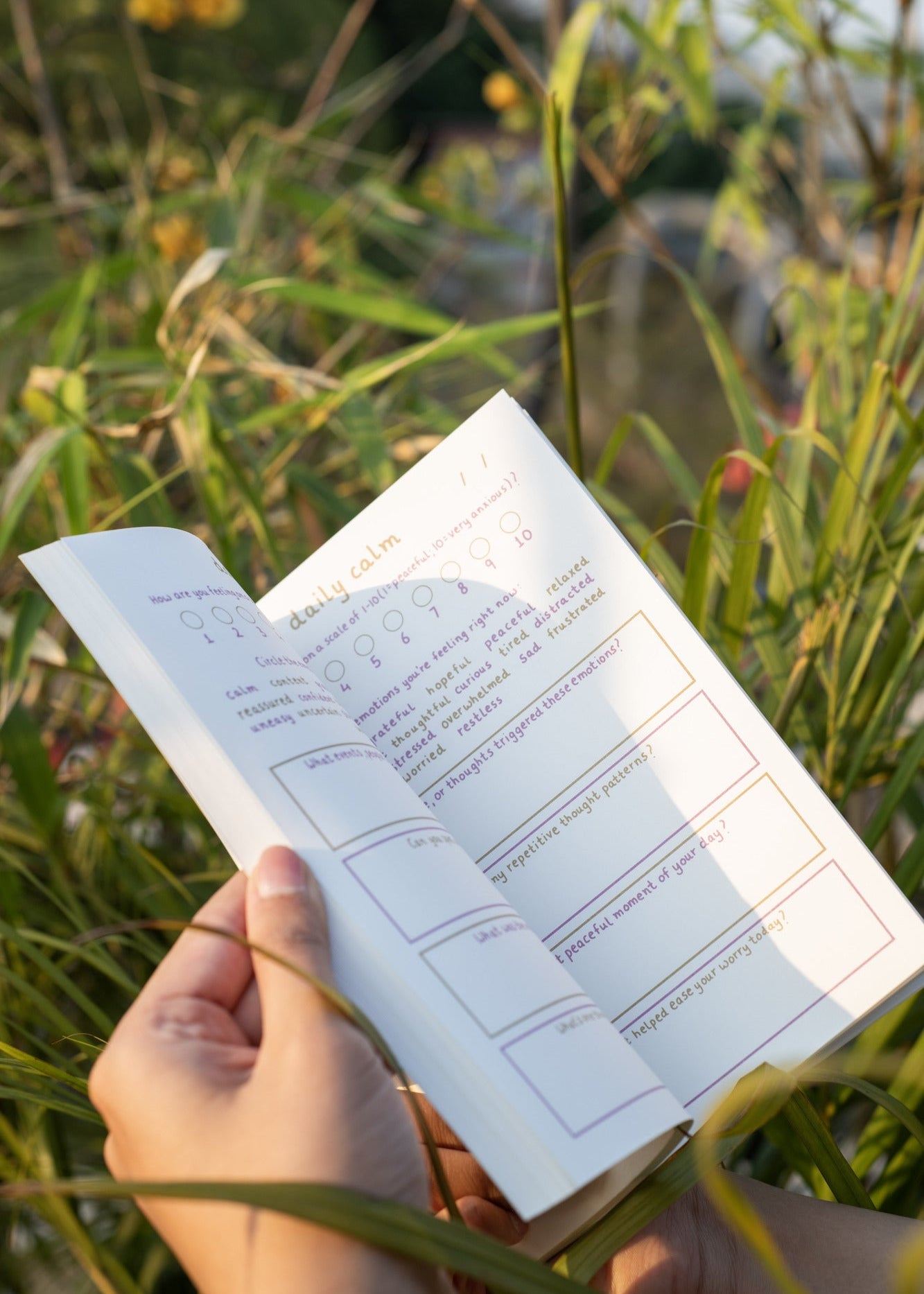 pause for peace: a guided anti-worry journal