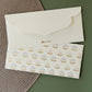 RII shagan envelopes set